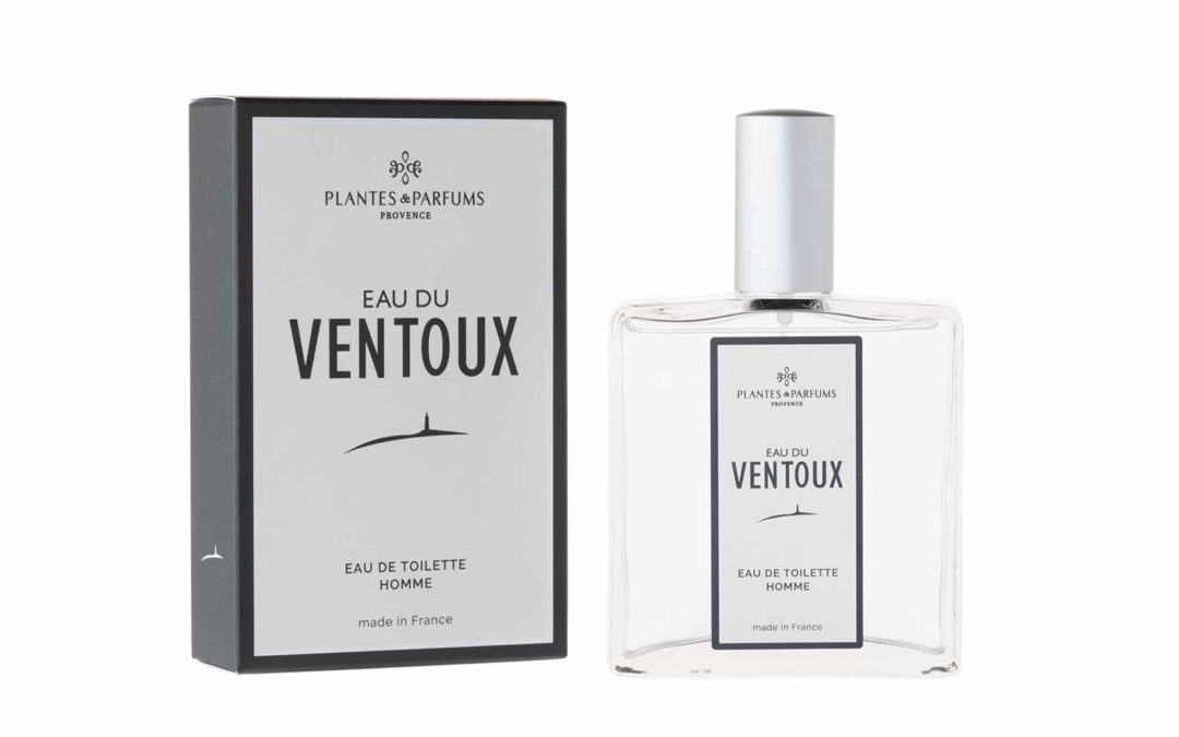 INTRODUIRE LE DESIGN AROMATIQUE DANS VOS ESPACES