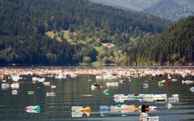 Comment éliminer les bouteilles d’eau en plastique sur le lieu de travail