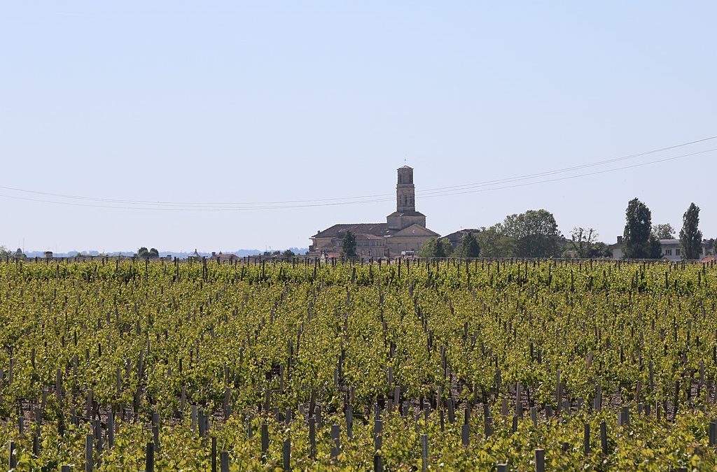 Comment visiter la Côte Rotie en France ?