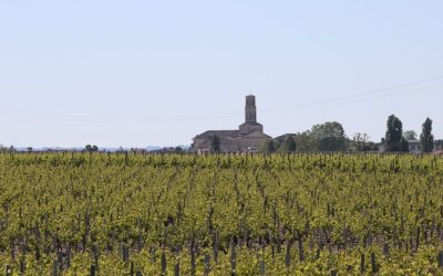 Comment visiter la Côte Rotie en France ?