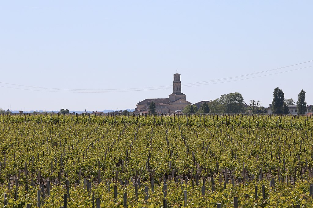 visiter la Côte Rotie en France