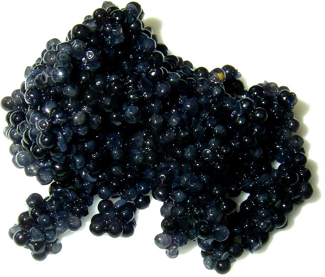 Caviar : 3 informations clés à savoir