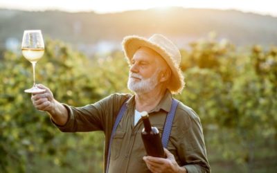 Découvrir la région viticole de la Côte du Rhône