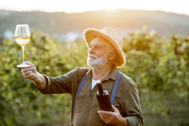 Découvrir la région viticole de la Côte du Rhône