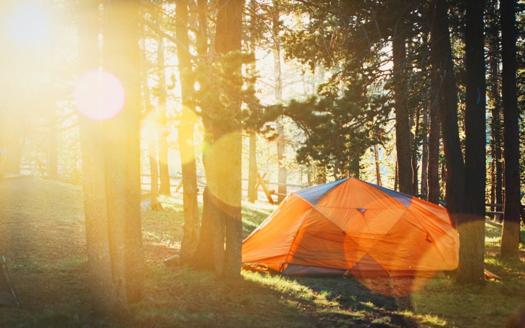 A savoir sur le service camping pour mieux choisir