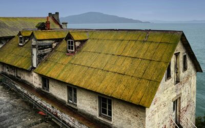 Comment un blog peut vous aider à améliorer votre visibilité en ligne ?