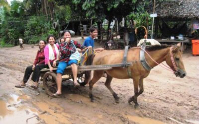Louer un Taxi Van et Mini Bus à Siem Reap, Cambodge
