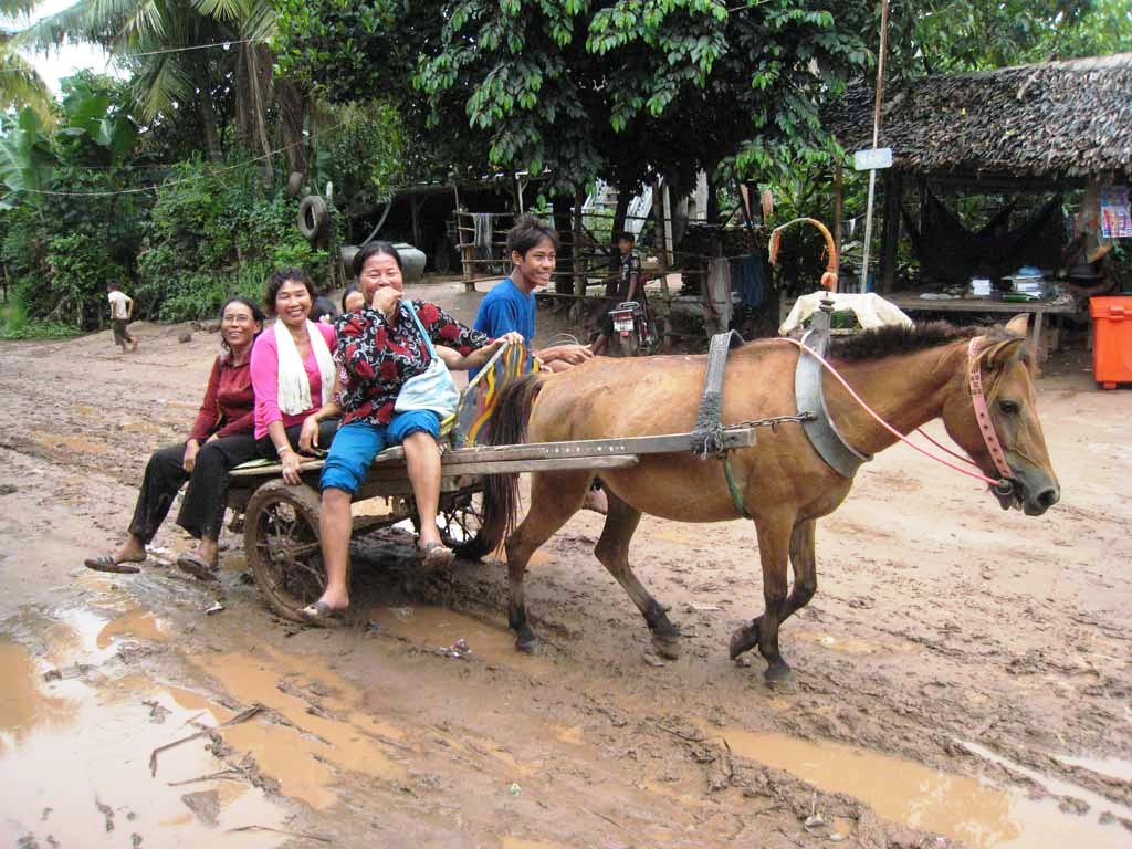 location de véhicules