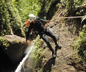 Pourquoi le kayak mangrove Martinique transforme-t-il chaque visiteur en explorateur ?