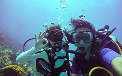 Plongée Martinique : comment explorer des fonds marins d’exception en toute sérénité ?