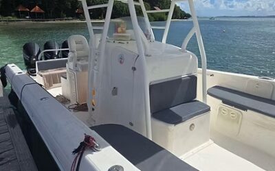 Pourquoi la location bateau Martinique transforme-t-elle chaque séjour en aventure inoubliable ?