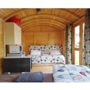 cabane de jardin