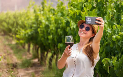 Œnotourisme : pourquoi la Champagne séduit les passionnés de vin ?