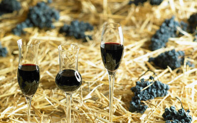 Vins vivants : pourquoi séduisent-ils les amateurs de bons crus ?