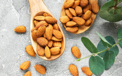 Amandes : une excellente source de calcium au quotidien
