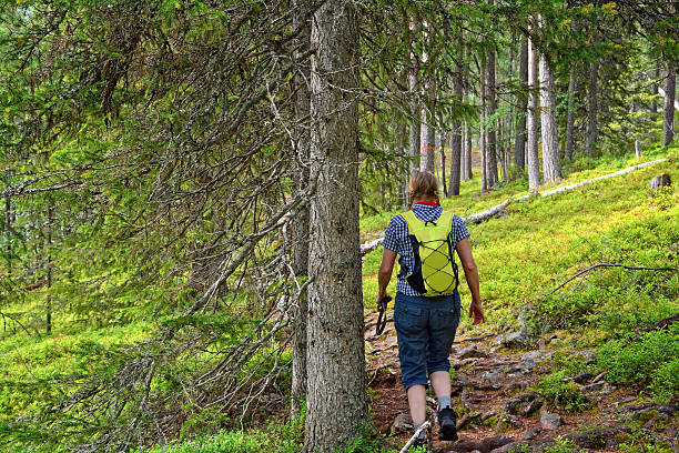 Randonnée en forêt : conseils pour une sortie réussie